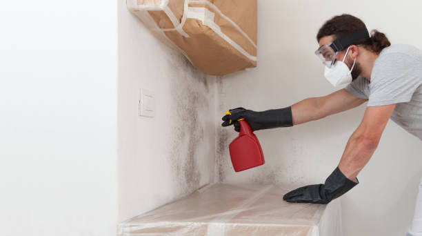 Professional Crawl Space Mold Remediation technician working in Chesapeake Beach, MD